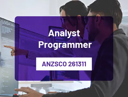 Analyst Programmer