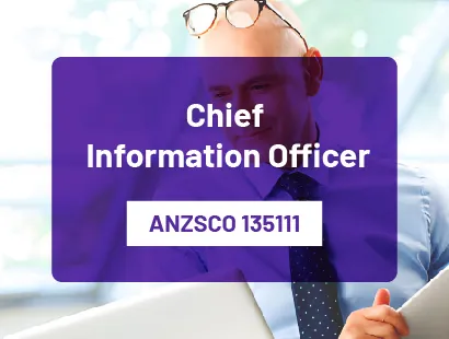 Chief Information Officer