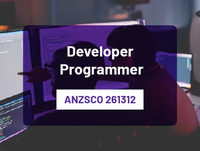 Developer Programmer