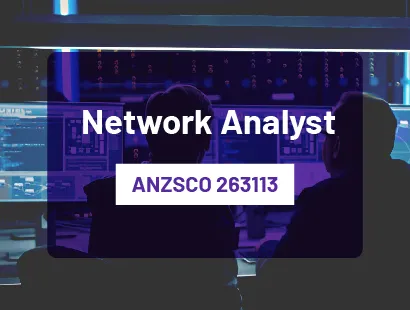 Network Analyst