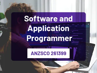 software and Application Programmer